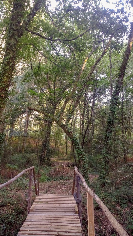 IMG_20180901_182135_edited