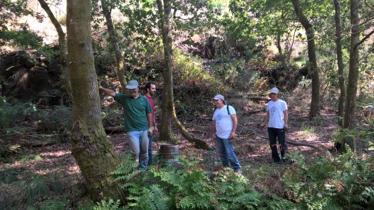 WP_20180915_12_27_31_Pro_LI