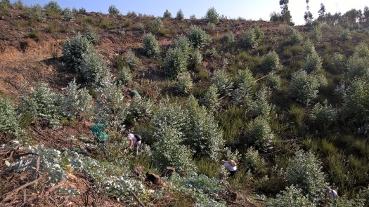 WP_20180915_17_12_26_Pro_LI