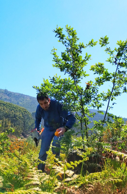 IMG_20190427_112505-01