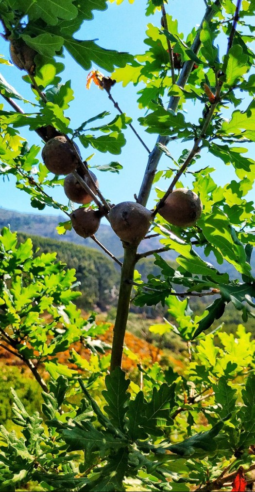 IMG_20190427_112751-01