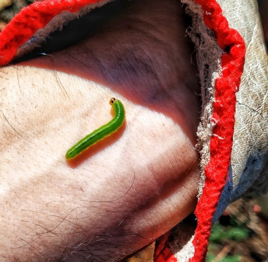 IMG_20190427_120130-01