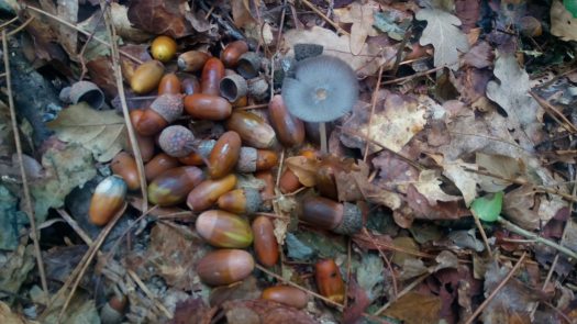 P_20190928_100956_SRES