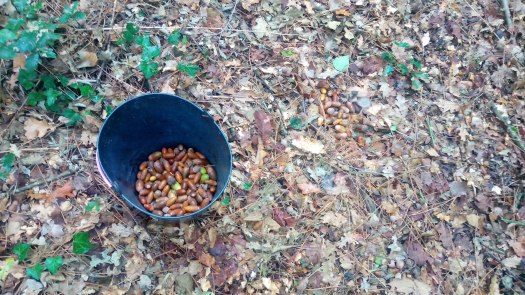 P_20190928_101014_SRES