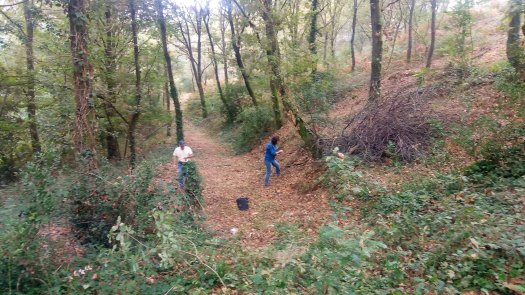 P_20190928_101028_SRES