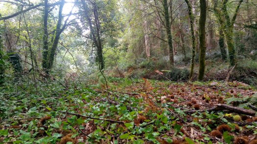 P_20190928_104234_SRES