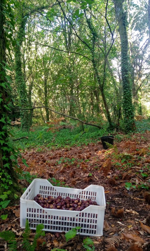 P_20190928_105723_SRES