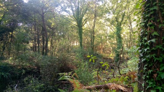 P_20190928_105756_SRES