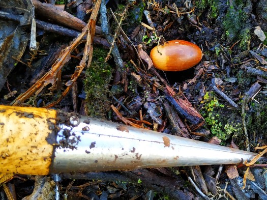 IMG_20191116_111154-01