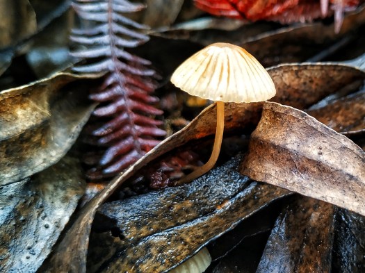 IMG_20191116_114117-01