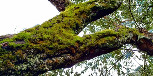 IMG_20191116_155303-01