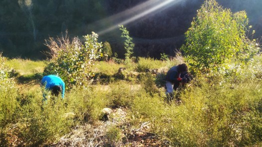 IMG_20200111_103113-01