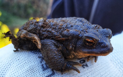 IMG_20200111_103206-01