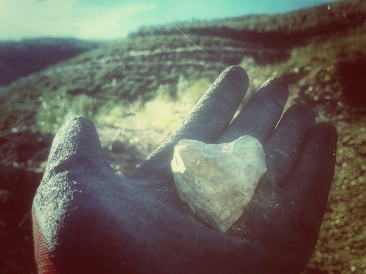 IMG_20200111_104833-01