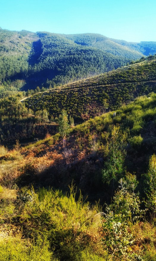 IMG_20200111_115134-01