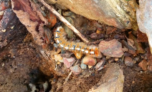 P_20200111_123919_SRES