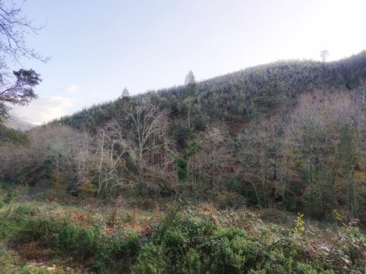 IMG_20200125_162919-01