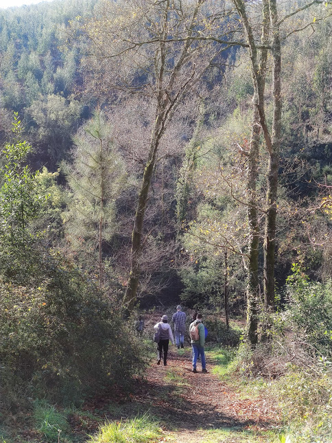 IMG_20200222_101135-01