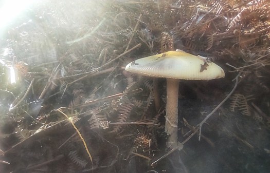 IMG_20200222_110117-01