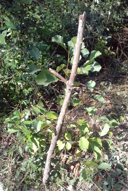 20200808_105638_1024x576