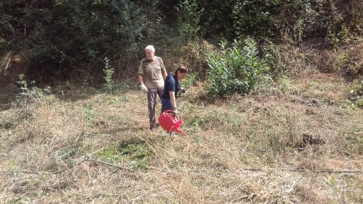 20200808_112911_1024x576