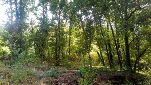 20200808_113745_1024x576