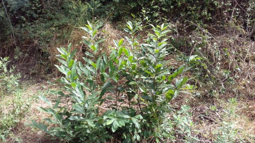 20200808_113924_1024x576