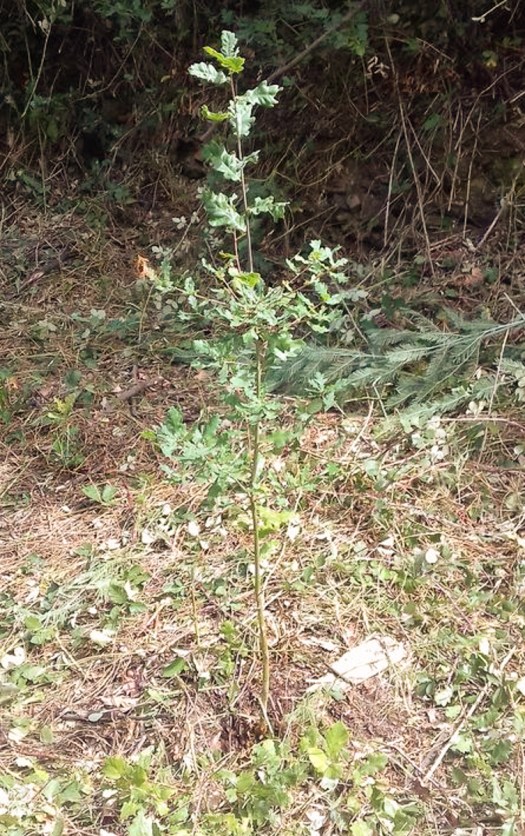 20200808_113935_1024x576