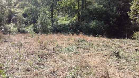 20200808_113941_1024x576