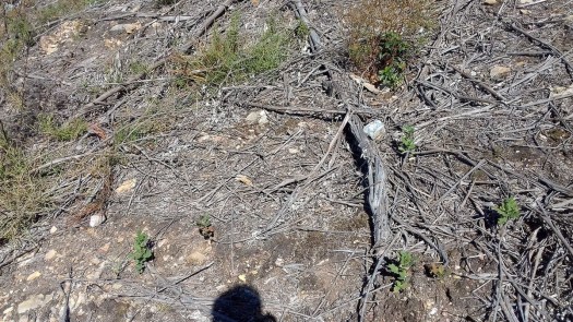 20200808_160335_1024x576