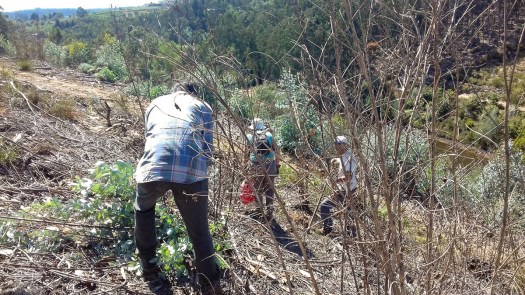 20200808_161140_1024x576