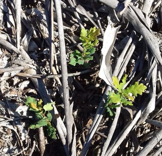 20200808_164427_1024x576